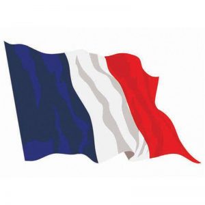 Rouen | Corso di Lingua all'estero | Giocamondo Study-bandiera-francia-100-x-145-bandiere-in-tessuto-300x300