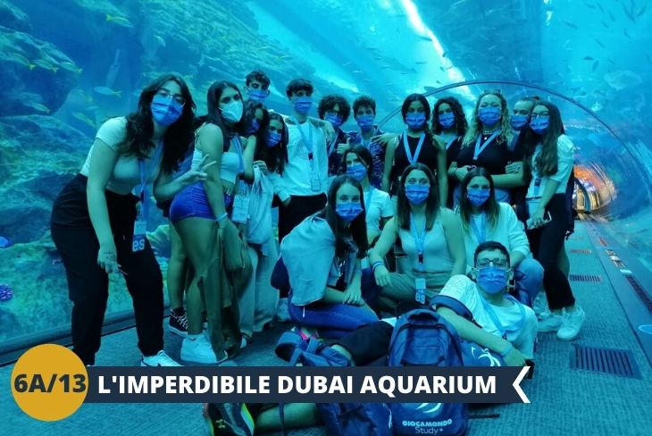 Visiteremo il Dubai Mall, il centro commerciale più grande al mondo, con ben 1200 negozi, 2 enormi grandi magazzini, 160 tra food and beverage outlets e persino una pista di pattinaggio sul ghiaccio, all’interno della quale coloro che vorranno potranno accedervi facoltativamente. L’attrazione principale è sicuramente il Dubai Aquarium (ingresso incluso): questo spettacolo infatti si trova proprio all’interno del grandissimo centro commerciale che, con i suoi oltre dieci milioni di litri d'acqua, è considerato tra i più grandi acquari esistenti al mondo, dove è possibile ammirare oltre centoquaranta specie per un totale di oltre trentatremila animali acquatici. (Escursione di mezza giornata)