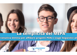 Articolo di blog MEPA