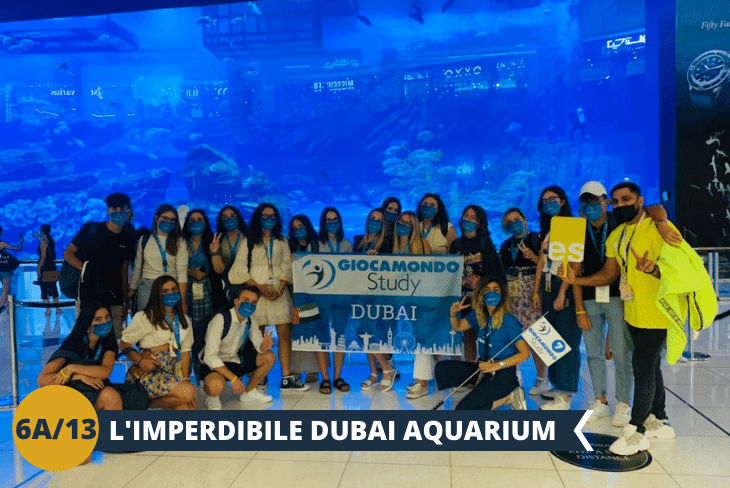 Visiteremo il Dubai Mall, il centro commerciale più grande al mondo, con ben 1200 negozi, 2 enormi grandi magazzini, 160 tra food and beverage outlets e persino una pista di pattinaggio sul ghiaccio, all’interno della quale coloro che vorranno potranno accedervi facoltativamente. L’attrazione principale è sicuramente il Dubai Aquarium (ingresso incluso): questo spettacolo infatti si trova proprio all’interno del grandissimo centro commerciale che, con i suoi oltre dieci milioni di litri d'acqua, è considerato tra i più grandi acquari esistenti al mondo, dove è possibile ammirare oltre centoquaranta specie per un totale di oltre trentatremila animali acquatici. (Escursione di mezza giornata)