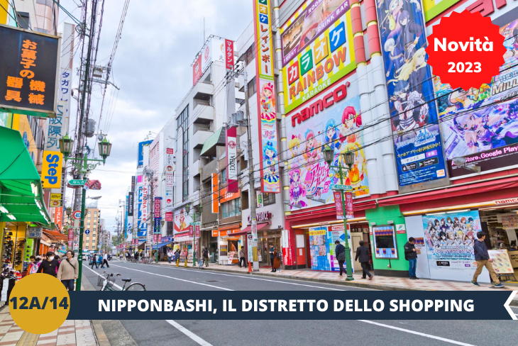 NIPPONBASHI è un quartiere commerciale con centinaia di negozi di elettronica ma è soprattutto il regno degli acquisti per appassionati di action figures, modellismo, videogames, manga, anime, e degli immancabili Maid Cafè. (escursione di mezza giornata)