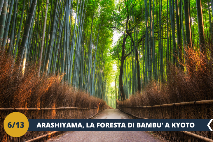 ESCURSIONE DI INTERA GIORNATA: scopriremo l'incanto del quartiere Arashiyama di Kyoto, dove si trovano il ponte Togetsukyo e la foresta bambù di Arashiyama. Ci immergeremo nell'armoniosa fusione dello splendore della natura, del ricco patrimonio culturale e di un'atmosfera di serena beatitudine, creando un fascino irresistibile per i viaggiatori che cercano esperienze indimenticabili in questo angolo idilliaco di Kyoto.