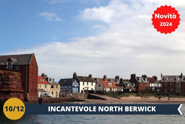 NOVITA’ 2024! Alla scoperta di North Berwick. Questa incantevole cittadina costiera offre paesaggi mozzafiato con spiagge dorate e mare cristallino. Le spiagge accolgono visitatori e residenti per rilassanti passeggiate o attività come il windsurf e il kayak. Ma non è solo mare! North Berwick è famosa anche per la sua ricca storia marina e i collegamenti con l'aviazione. E non dimentichiamoci del fascino storico: North Berwick è punteggiata di rovine antiche, come il Tantallon Castle, un'imponente fortezza medievale che incanta con la sua architettura imponente. Questo pomeriggio a North Berwick è un'immersione nella natura, nella storia marina e nelle magnifiche vedute costiere. (escursione mezza giornata)