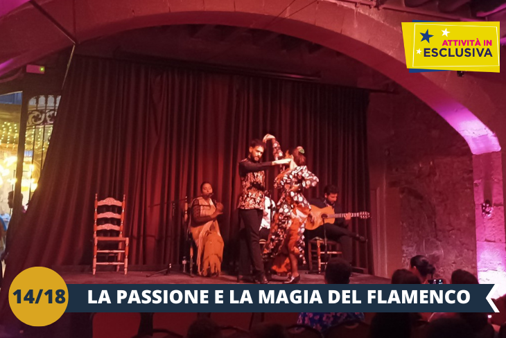 BARCELLONA BY NIGHT: una notte all’insegna della passione catalana, al ritmo di un fantastico spettacolo di FLAMENCO ( INGRESSO INCLUSO) per vivere il meglio che il folklore locale ha da offrire!
