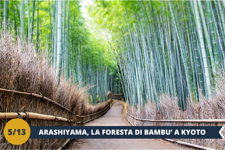 ESCURSIONE DI INTERA GIORNATA: scopriremo l'incanto del quartiere Arashiyama di Kyoto, dove si trovano il ponte Togetsukyo e la foresta bambù di Arashiyama. Ci immergeremo nell'armoniosa fusione dello splendore della natura, del ricco patrimonio culturale e di un'atmosfera di serena beatitudine, creando un fascino irresistibile per i viaggiatori che cercano esperienze indimenticabili in questo angolo idilliaco di Kyoto.